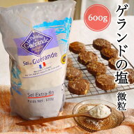 【スーパーセール50円OFF】 ゲランドの塩 微粒 エクストラファン 600g ゲランド 塩 フランス セルマラン…