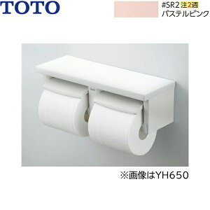 YH651#SR2 TOTO ItA cȂΉ pXesN ()