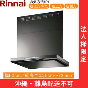 OGR-REC-AP602RGM iC RINNAI Wt[h ICX}bV[EX^ 60cm ǖʎt^Cv O[^bN rCE^Cv @llEzs ()