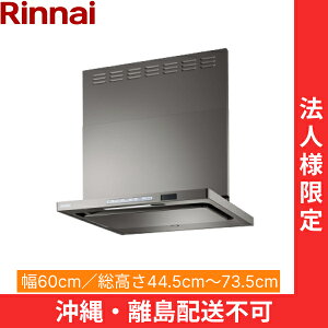 TAG-REC-AP601GM �����i�C RINNAI �����W�t�[�h �m���t�B���^�[�E�X�����^ ��60cm �ǖʎ�t�^�C�v �O���[���^���b�N �@�l�l����E����z���s�� ��������()