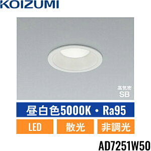 AD7251W50 �R�C�Y�~ KOIZUMI ���C��SB�_�E�����C�g 100W���� ��������100 ��������()