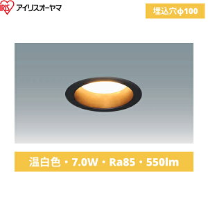 LSB100-1035NCSSB-V4 10Zbg ACXI[} IRIS OHYAMA LED_ECg SB` 񒲌 F ()