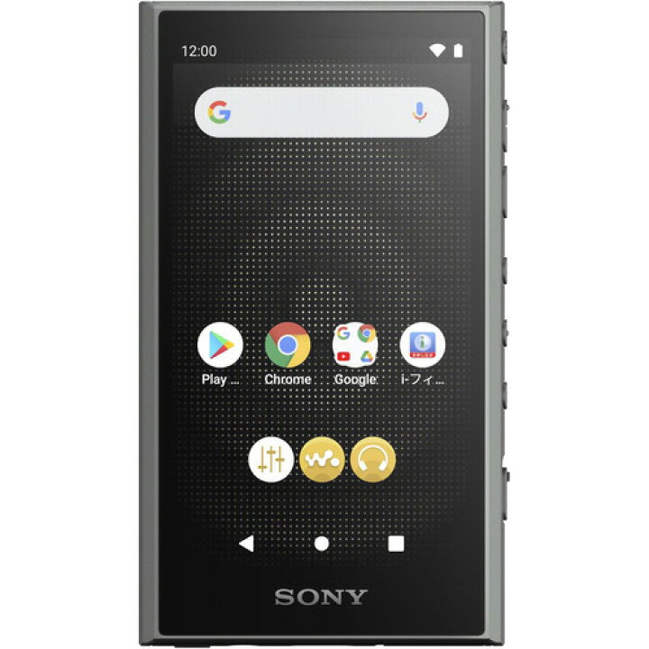 楽天市場】【推奨品】ソニー NW-A306 H ウォークマン ハイレゾ音源対応 