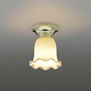 �R�C�Y�~�Ɩ� BH16714 LED�V�[�����O