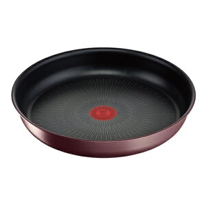 ݌ɌeBt@[(T-FAL) L38506 CWjIElI IH}uEEA~ebh tCp 28cmyIHΉz