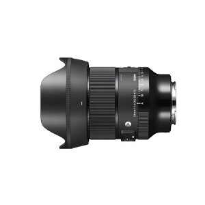�V�O�} 24mm F1.4 DG DN �����p�����Y Art �\�j�[E�}�E���g�p