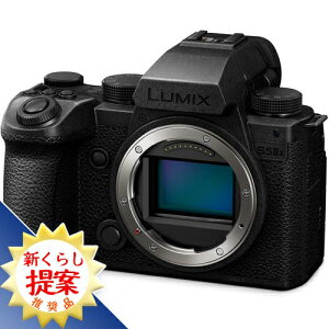 Panasonic DC-S5M2X LUMIX S5IIX ~[XJ {fB̂ ubN DCS5M2X