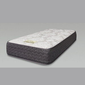 [�_�u�����C�h]Sealy SHS�X�^���_�[�hTT �O���[�W�� SHSSTTTDWM