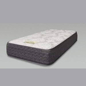 [�N�C�[��]Sealy SHS�X�^���_�[�hTT �O���[�W�� SHSSTTTQM