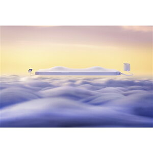 [�V���O��]MTG NEWPEACE AI Motion�Z�b�g Mattress (��p�|���vBOX�E��p�J�o�[�t��)