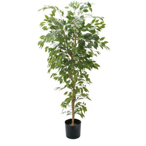 �|�s�[ GLP-1290 �x���W���~���t�B�J�X�c�� H180cm×W70cm �O���[�� GLP1290