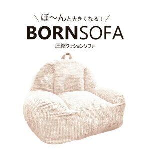 1�l�p�N�b�V�����\�t�@ BORNSOFA RC-101�^JAMWHITE �{�[���\�t�@ �z�W�����z���C�g ���k�N�b�V�����\�t�@