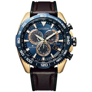 V`Y CB5039-11L PROMASTER LANDV[Y _CNgtCg GREhCudgv