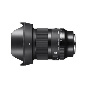 �V�O�} 20mm F1.4 DG DN �����p�����Y Art L�}�E���g�p