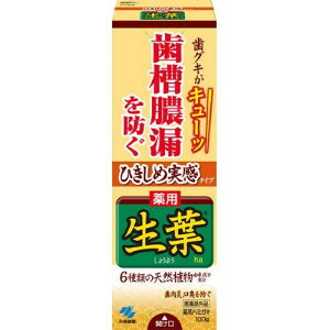 小林製薬 ひきしめ生葉 100G 生葉