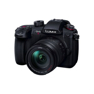 �p�i�\�j�b�N DC-GH5M2H LUMIX GH5 II �~���[���X���J���� 10�{�Y�[�������Y�L�b�g