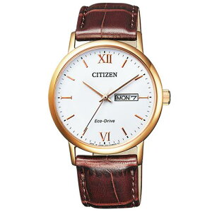 �V�`�Y�� BM9012-02A CITIZEN COLLECTION �V�`�Y���R���N�V���� �G�R�E�h���C�u �J�[�t�o���h �\�[���[���f��