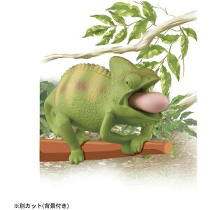 ���i�摜