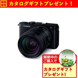 �y���Ԍ���M�t�g�v���[���g�z�p�i�\�j�b�N DC-S9H-K �t���T�C�Y �~���[���X�J���� �W���Y�[�������Y�L�b�g LUMIX �W�F�b�g�u���b�N DCS9HK