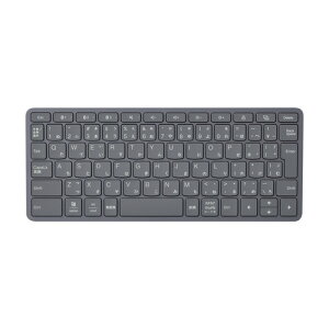 NEC LAVIE Tab T1155Hp L[{[h PC-AC-AD049C