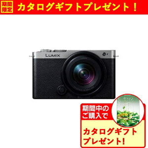 �y���Ԍ���M�t�g�v���[���g�z�p�i�\�j�b�N DC-S9N-S S9 �L�p�Y�[�������Y�L�b�g �~���[���X���J���� LUMIX �_�[�N�V���o�[