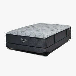 ˉƋ [NC[O] Vf{gNbVuKAv`iV FRPOCH nCv23cm(r75cm) AJ }bgXʔ