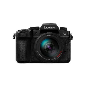 �p�i�\�j�b�N DC-G99M2H �f�W�^�����J���� �����Y�L�b�g LUMIX G99II �u���b�N DCG99M2H