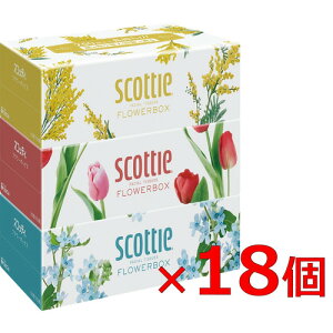 NVA yP[X̔z XRbeBeBV[ t[{bNX 250g 3x18pbN