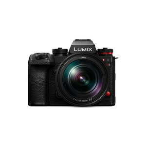 �p�i�\�j�b�N DC-S1RM2 �f�W�^�����J���� �{�f�B LUMIX 35mm�t���T�C�Y �~���[���X�J���� �u���b�N