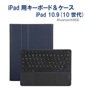 RM RM-4032iNBB-Case ��10���� ipad11�^10.9�C���`�p�J�i���̓L�[�{�[�h���P�[�X �l�C�r�[�^�u���b�N