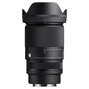 �V�O�} 16-300mm F3.5-6.7 DC OS �����p�����Y Contemporary �\�j�[E�}�E���g�p