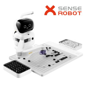 SenseRobot RG2W-J AI�͌郍�{�b�g �ܖڕ��� �R�~���j�P�[�V�������{�b�g