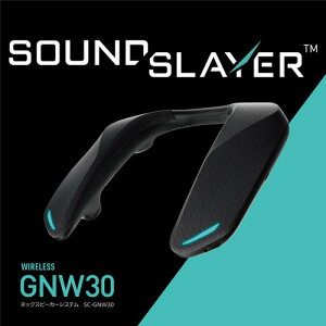 pi\jbN SC-GNW30 Q[~OlbNXs[J[ HDMIEBluetoothڑΉ Win MacΉ ubN