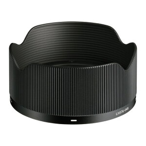 �V�O�} LH576-04B �����Y�t�[�h AF24MMF3.5DG(BK)L�p