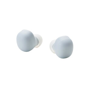 GR LBT-TWS19CSBU CXCz Bluetooth 5.2 ^[dP[X Type-C XJC
