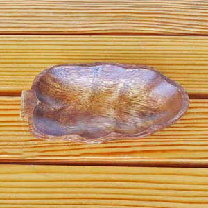 [hNtg uhE^v[g AJVA/ؐ/H@MSW-011