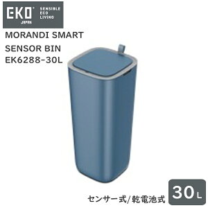 yS1Nۏ؁zZT[ J S~ 30LMORANDI SMART SENSOR BINifBX}[g ZT[rjEK6288-30L drS3F zCg O[ u[Vv X EKOWpiC[P
