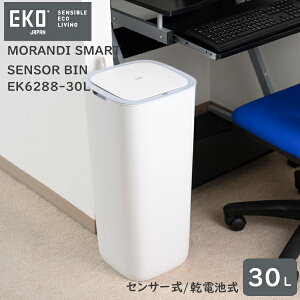 yS1Nۏ؁zZT[ J S~ 30LMORANDI SMART SENSOR BINifBX}[g ZT[rjEK6288-30L drS3F zCg O[ u[Vv X EKOWpiC[P