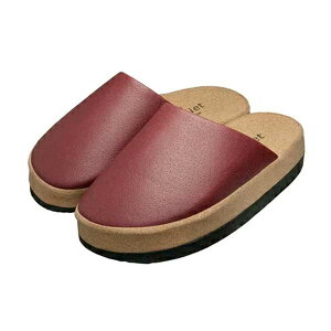 SlietiXGbgj O-Type OrCɂȂ J[ S2F {h[/zCgȃfUC XbpŊȒPɃGNTTCY