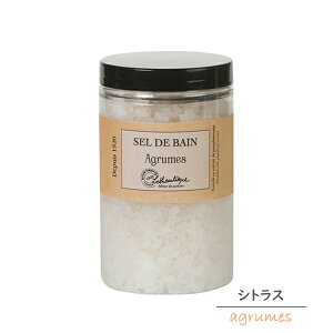 Lothantiquei^eBbNjLE COMPTOIRiRg[jRg[oX\g 460g 6 VgX/AGx/A[h/AK/~N/I[uӂ   salt ~l bN