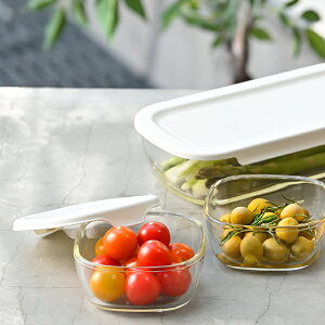 _  ^ HARIOinIjs Rei STCY 3 Zbg tϔMKX X^bLOOK{ KSTL-S-2508-OWۑe u  [ Vv  Mtg bsO Mtg