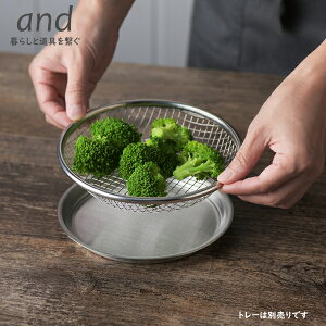 andiAhj XeX ^U 16cm { XeX ی^  ؂ ؂