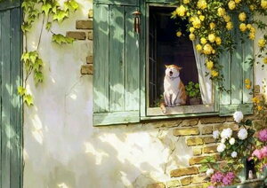 ジグソーパズル 1000ピース 微睡むネコ            海外 外国 猫 動物 ペット 可愛い キュート カントリー イラスト ディスプレイ コレクション インテリア プ