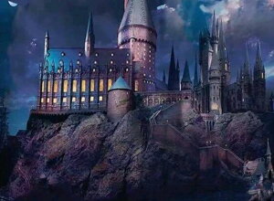 WO\[pY 1000s[X@@̍̏@@@@@@@@@@@@@CO@O@t@^W[@zI@X^CbV@_[N@@Ł@fBXvC@RNV@CeA@