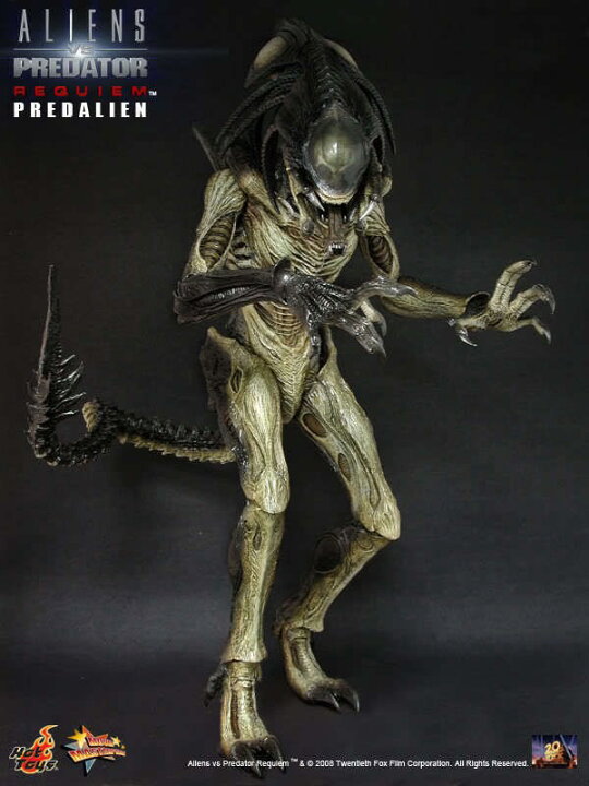 楽天市場】1/6 HOT TOYS ホットトイズ ムービーマスターピース AVP 