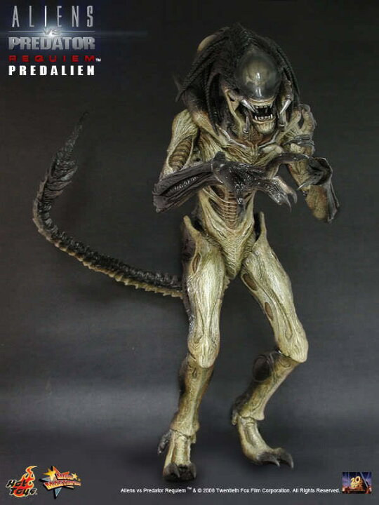 楽天市場】1/6 HOT TOYS ホットトイズ ムービーマスターピース AVP 