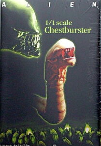 1/1 AIV} GCA `FXgoX^[@@@@tBMA@\tr@f@z[