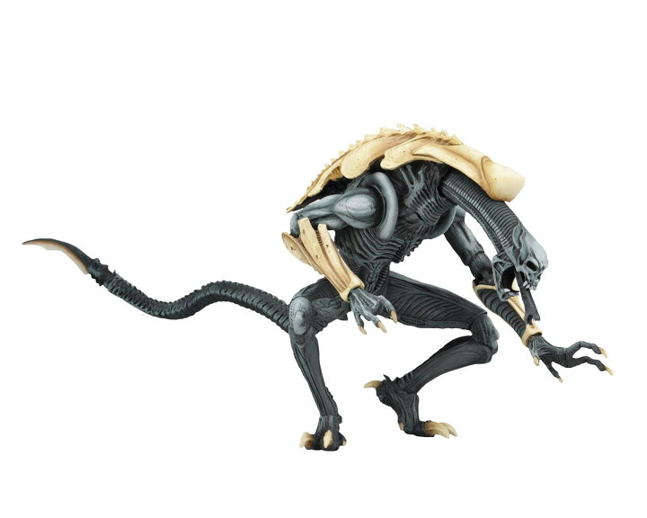 楽天市場】NECA ネカ AVP エイリアンVSプレデター CHRYSALIS ALIEN 