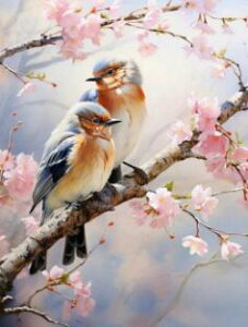 _ChA[g 2H̏@@@@@@@@@@UCNA[g@쒹@@킢@@ԁ@t@CeA@Mtg@v[g