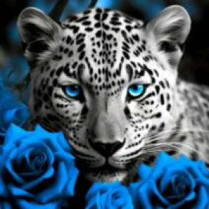 _ChA[g LqE@@@@@@@@@@@UCNA[g@^@@zI@X^CbV@CeA@Mtg@v[g@